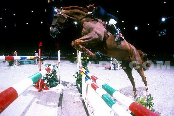 Parcours saut d'obstacle cheval Marcq-en-Baroeul - Obstacle équitation