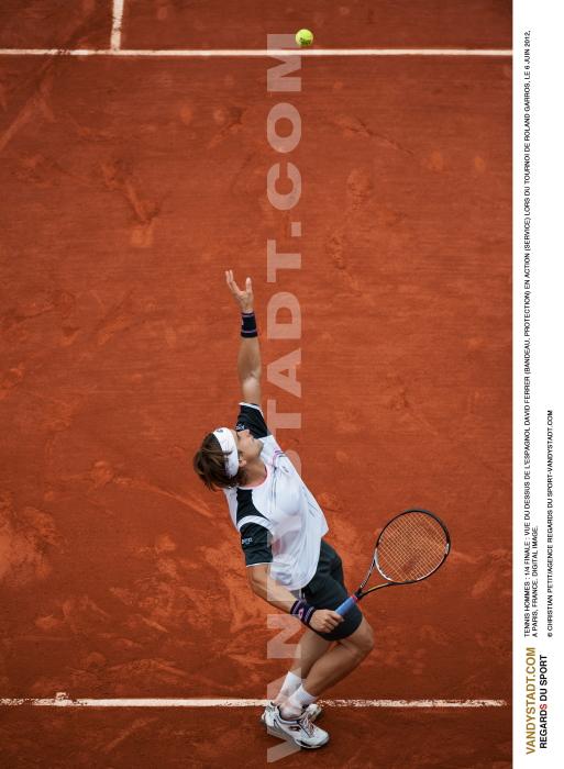 david-ferrer