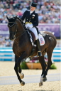 Sports Equestres - *tina konyot