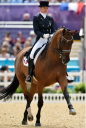 Sports Equestres - *jessica michel