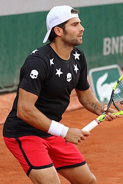 Simone Bolelli