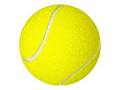 Les vainqueurs du double dames dans les quatre tournois du Grand Chelem